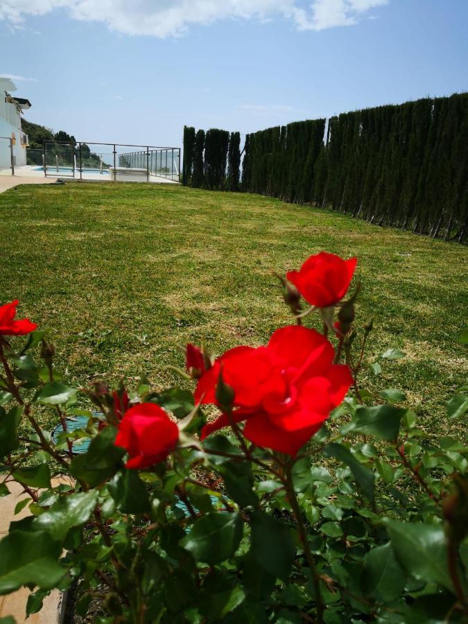 Апартаменты Dana I Eurogolf, Vistas, Wifi, Piscina Y Parking Бенальмадена Экстерьер фото